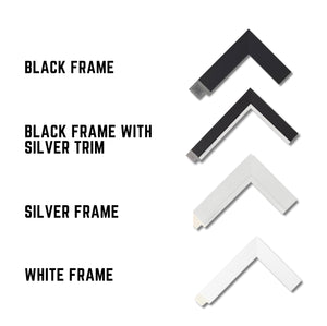 Silver Shirt Framing Package